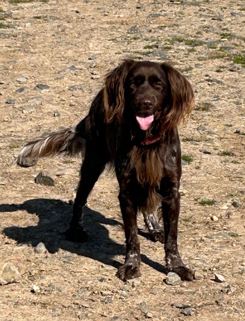 Twist Du clos des cookies